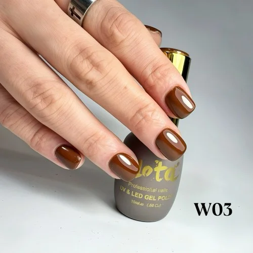 Ημιμόνιμο Επαγγελματικό Βερνίκι Fall Lolota 15ml W03