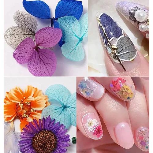 Αποξηραμένα Λουλούδια Nail Art Διακόσμηση 3D