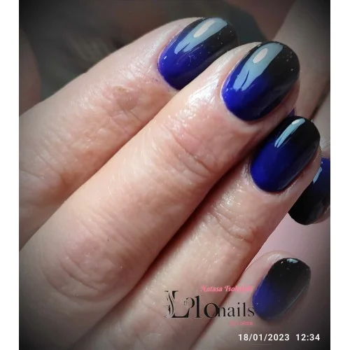 Ημιμόνιμο Επαγγελματικό Βερνίκι Lolota 15ml No124
