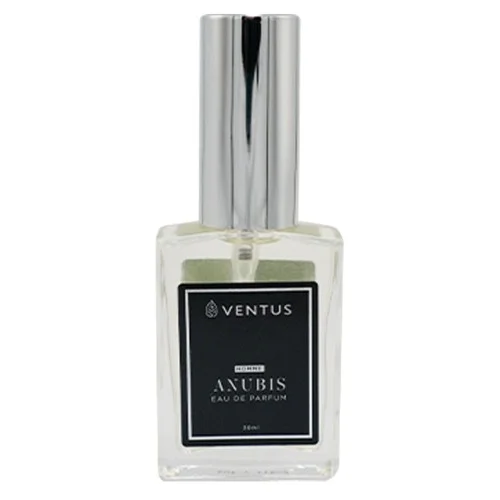 Ανδρικό Άρωμα Ventus Anubis Eau de Parfum 30ml