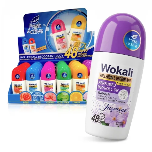 Αποσμητικό Roll-on 48 ωρών 80ml